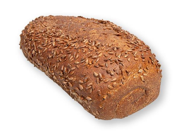 Donkervloer Zonnepit